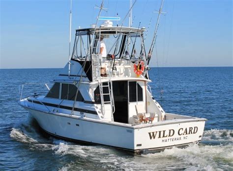 wild card charters wanchese nc